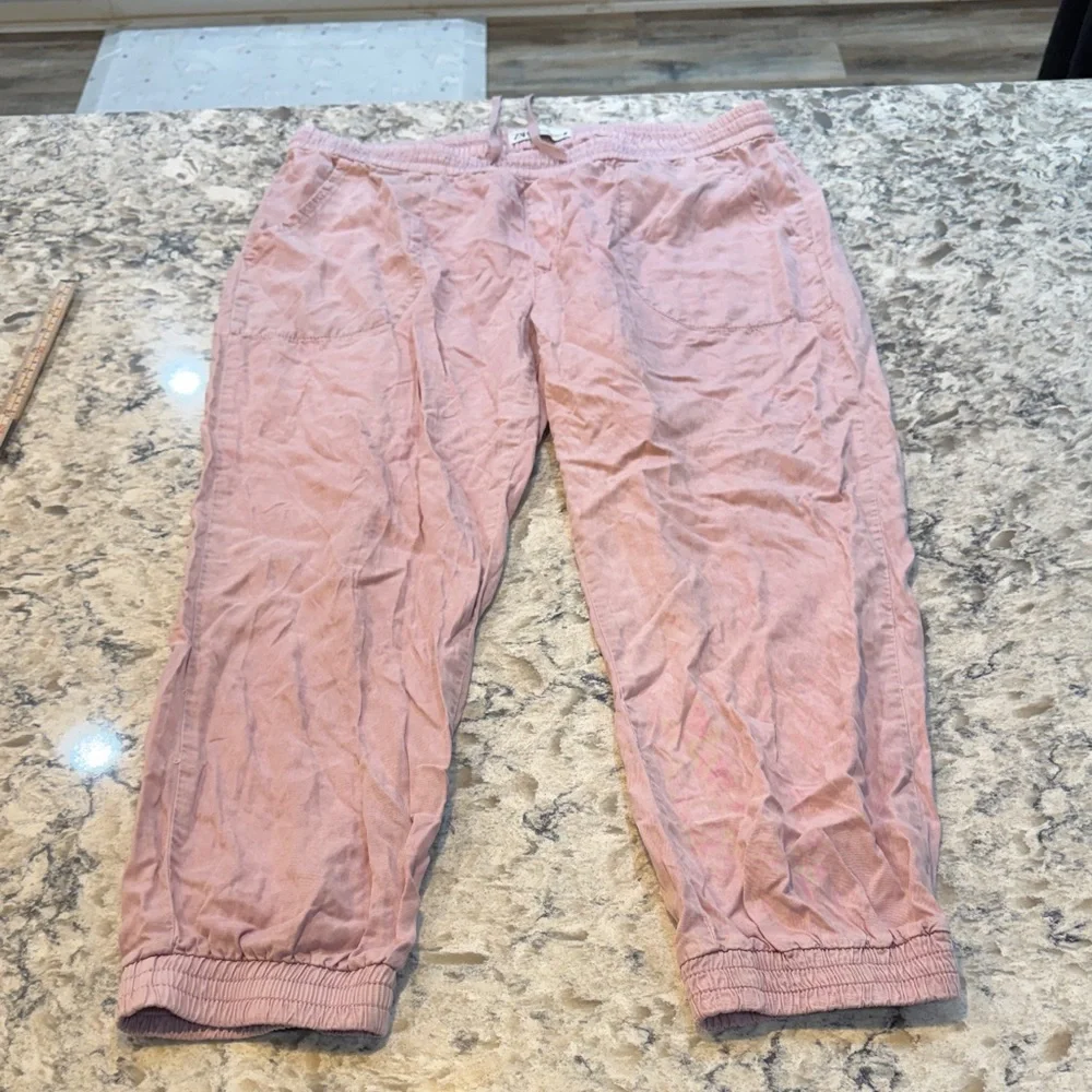 ZARA Rose Jogger Style Pull Up Comfy Jogger Pants - Picture 2 of 13